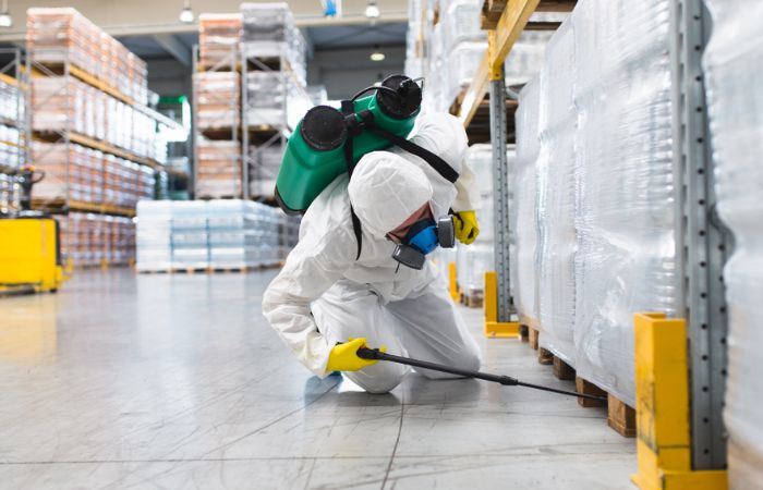 The Importance of Timely Pest Control in Commercial Spaces